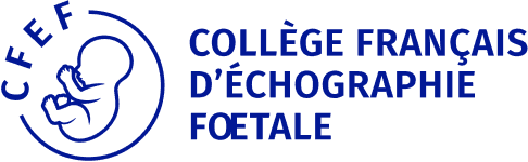 Logo Cfef